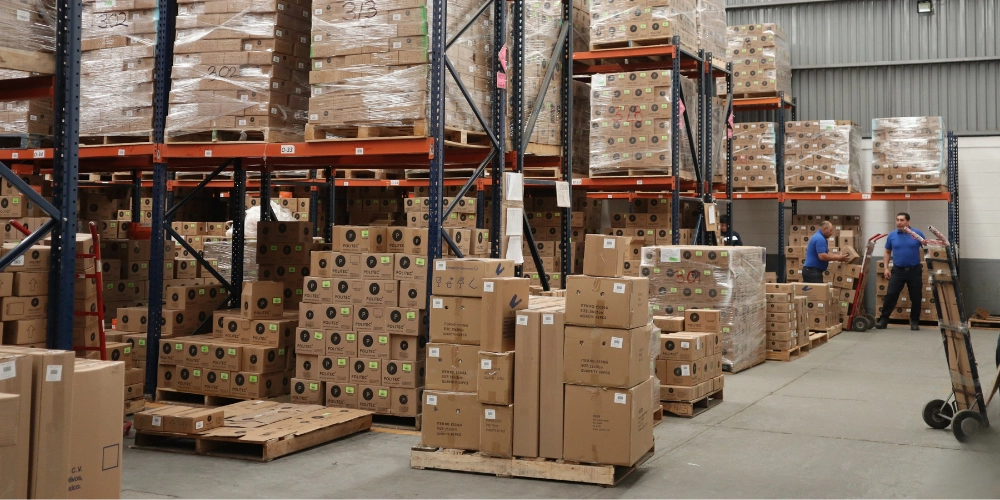 Imagen de la linea de tiempo