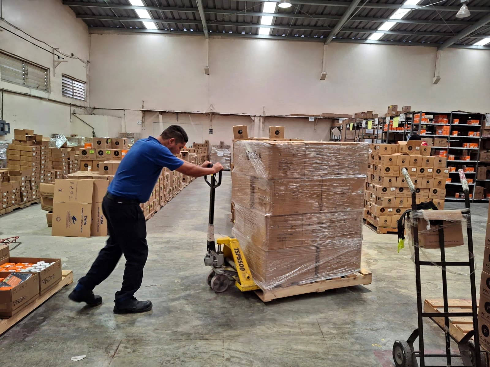 Distribuidora Rodin, a leading company in the manufacturing and distribution of art products, recognized for its commitment to creativity, quality, and innovation in artistic materials.